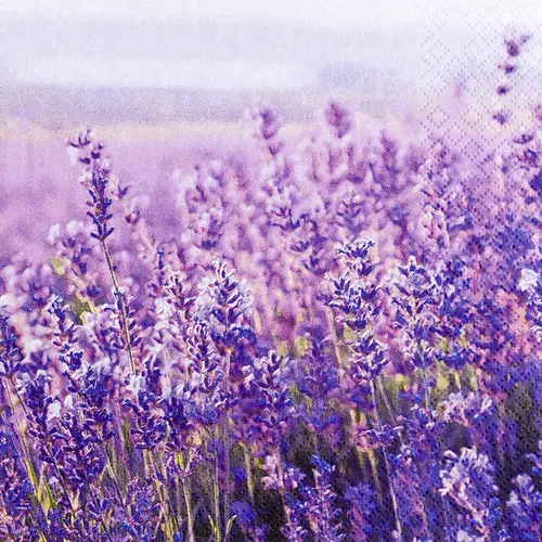 20er Pack Servietten Field of Lavender Lavendel 33x33cm Papier Home Fashion