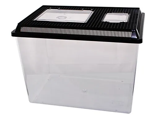 Neu PET-Plaza Kunststoffbox von Dragon