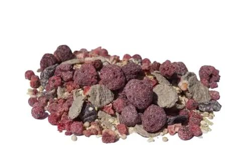 BIO MÜSLI Gefriergetrocknete Rote Früchte I Glutenfrei I ohne Zuckerzusatz (enthält von Natur aus Zucker) I Chia & Quinoa I ohne Nüsse I Hirse & Buchweizen I 600g