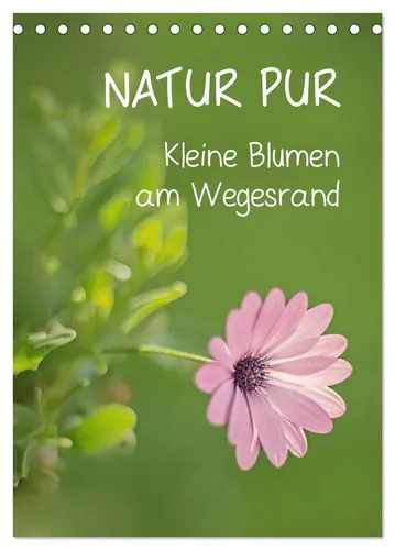 Karin Dietzel | NATUR PUR Kleine Blumen am Wegesrand (Tischkalender 2026 DIN...