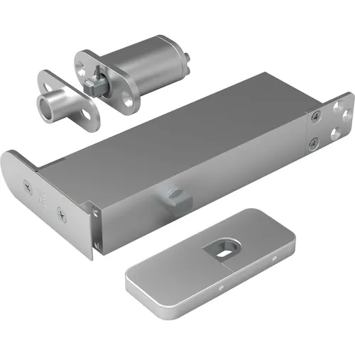 Argenta Hydraulischer Türschließer Pivotica Pro 100kg, Edelstahl, Silber