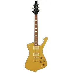 IC420-GD E-Gitarre