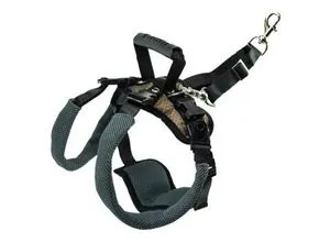 PetSafe CareLift Hüft-Hebegeschirr für Hunde