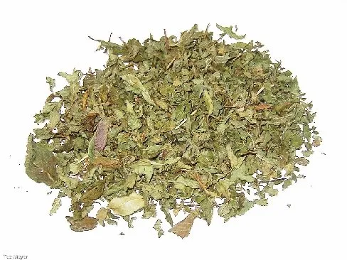 Pfefferminz Tee beste Blattware 100g lose 1kg/39,00€ g1 Tee-Meyer