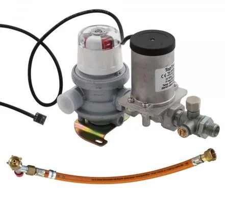 Toptron CPU Zweiflaschenumschaltanlage mit Gasschläuchen