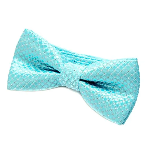 Krawatten Blau von DonDon