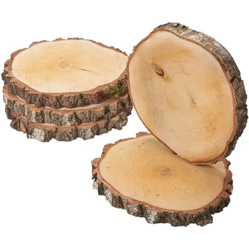 Große Holzscheiben zum Basteln oder Dekorieren - 5 Stück naturbelassene Baumscheiben ca. 35 cm (33 - 37 cm) Durchmesser aus Birkenholz - runde Holz Birkenscheiben als Holzdeko Holzplatten