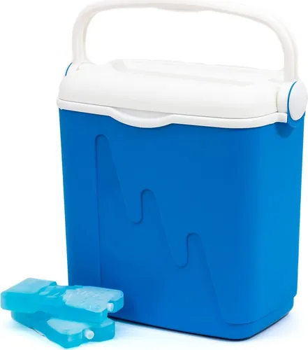 Curver cool box (20 Liter) - Hochwertige Kühlbox, flexible Gestaltung und ideale Qualität für Ausflüge und Picknicks