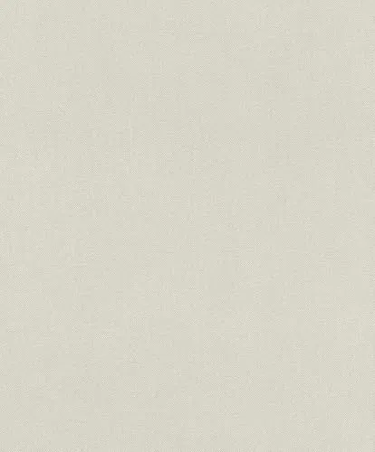 Rasch Vliestapete Einfarbig mit körniger Struktur - my moments