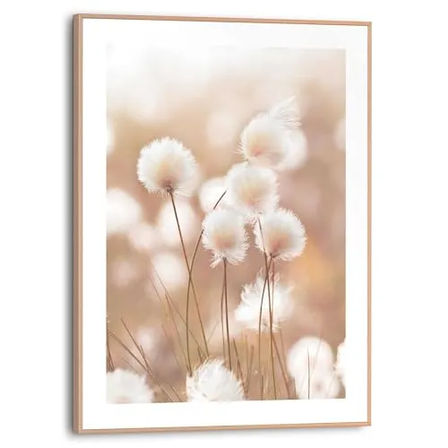 Poster & Bildende Kunst Beige von REINDERS