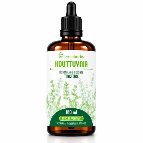 Houttuynia-Tinktur 1:2 (100ml)