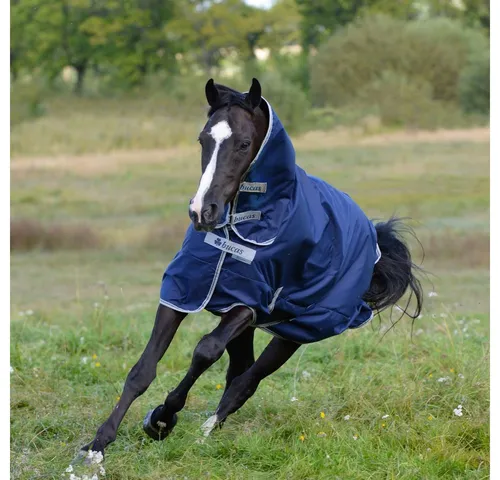 Bucas Freedom Turnout 0 g Full Neck - Regendecke für Pferde - Regendecke für Pferde, 0g Füllung, wasserdicht und atmungsaktiv, idealer Schutz bei jedem Wetter mit integriertem Halsteil für zusätzlichen Komfort.