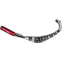 Auspuff Beta RR 50 ab 2021