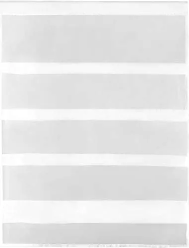 Bestlivings Transparente Bistrogardine Raffoptik mit Stangendurchzug in Voile, schlicht und modern in vielen erhältlich (80 x 110 cm/weiß - reinweiß)