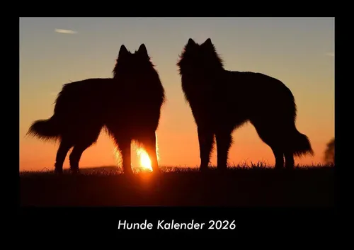 Hunde Kalender 2026 Fotokalender DIN A3