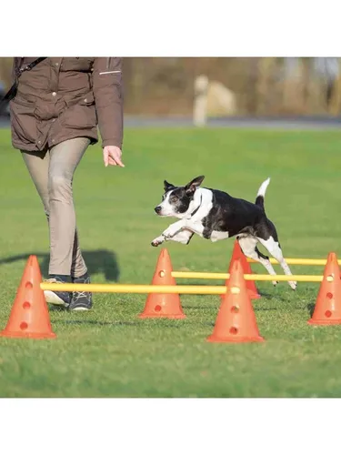 Pylon Obstacles Set 3 pcs. von Trixie