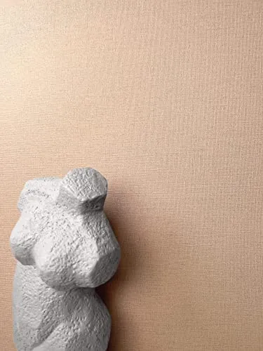 Newroom Tapete Braun - Edle Vliestapete in Textil-Optik - Moderne einfarbige Tapete, abwaschbar und scheuerbeständig. Ideal zur Risskaschierung und für elegante Raumgestaltungen. Inkl. Tapezier-Ratgeber für perfekte Ergebnisse.