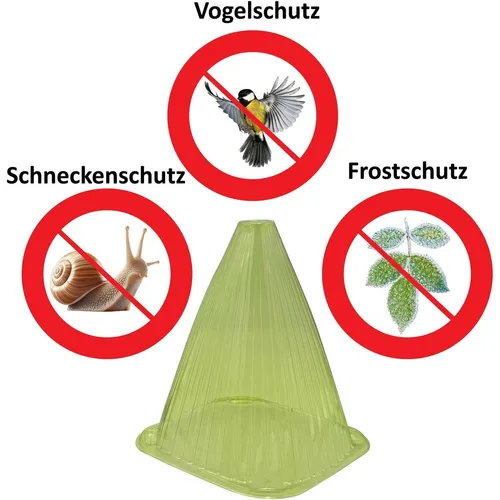 Pflanzenhut 10er Set Pflanzenhütchen Pflanzhaube Pflanzglocke Salathauben grün