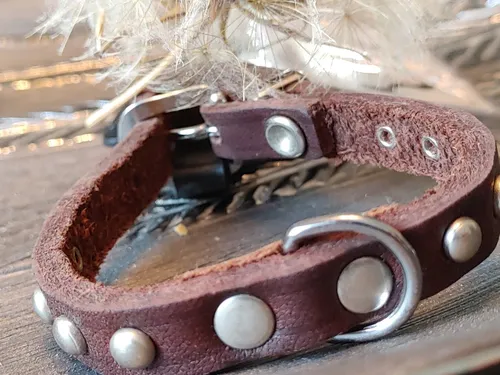 Hundehalsband,Braun,Halsband,Lederhalsband, Gr.Xs,24cm,Ziernieten,verziert,Neu