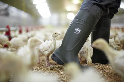 Bekina Agrilite Steplite Easygrip S5 Sicherheitsstiefel für Herren und Damen