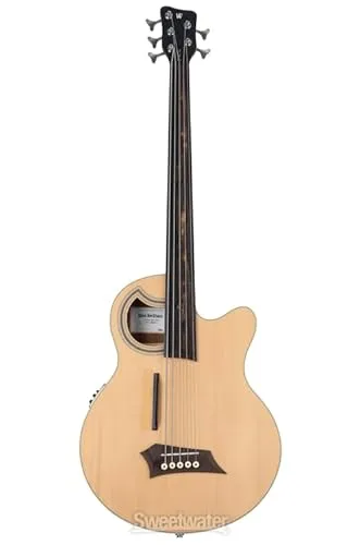 Warwick RockBass Alien Deluxe Hybrid Thinline, 5-String, Fretless