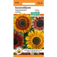 SAMEN PFANN Sonnenblume Herbstschönheit