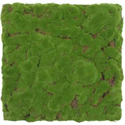 Jangal Akustikpaneel Modular Wall System Design Moos, Hellgrün, Naturmaterialien, 52x52x2.6 cm, Handmade Quality, Montage ohne Bohren, Tapeten & Wandverkleidungen, Akustikpaneele