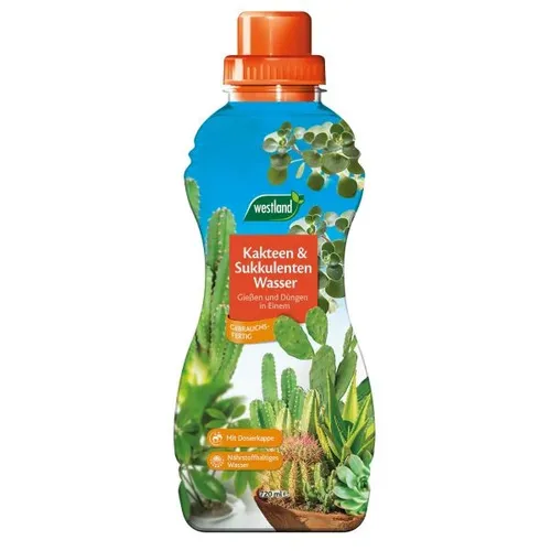 Westland Kakteen- & Sukkulenten Wasser 720 ml  Dünger