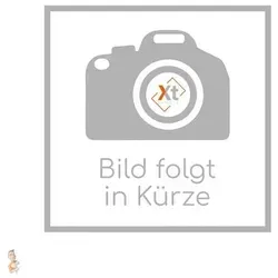 Flashforge 3D-Drucker von Flashforge