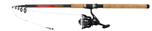 Paladin Concept-Combo Hecht Zander Spin 2,70m Angelset mit Rolle & Schnur - Unisex Angelset für das Süßwasserangeln. Teleskoprute mit 2,70m Länge, inklusive Spinningrolle und hochwertiger Schnur. Ideal für den schnellen Einsatz und optimalen Komfort beim Angeln.