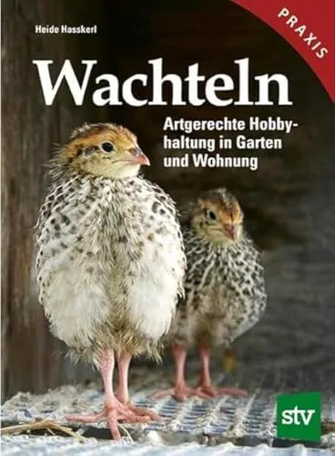 Wachteln: Artgerechte Hobbyhaltung für Garten und Wohnung - Haustiere: Erleben Sie die artgerechte Haltung von Wachteln, ideal für Garten und Wohnung, mit frischen Eiern und einem einzigartigen Tiererlebnis.