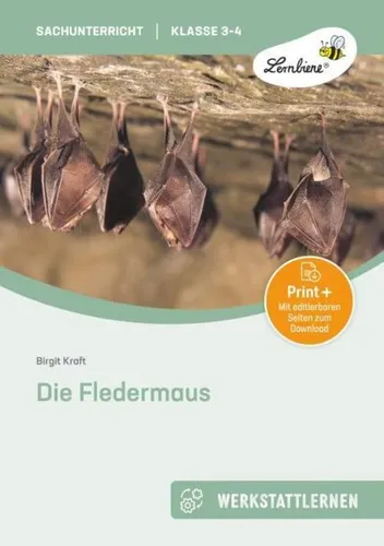 Die Fledermaus (Set) - Schulbücher & Lernhilfen: Spannende Werkstatt über Fledermäuse mit 16 abwechslungsreichen Stationen, die Kinder über ihre Lebensweise und den Schutz dieser faszinierenden Tiere informiert.
