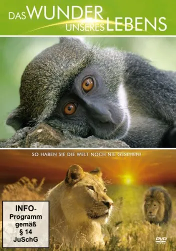 Das Wunder unseres Lebens