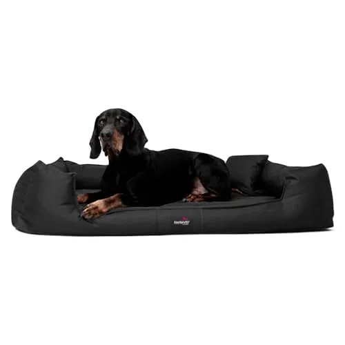 tierlando® Orthopädisches Hundebett Goofy XL-XXXL von tierlando