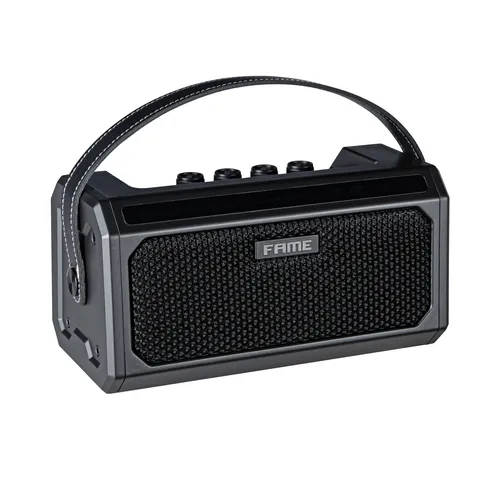 Fame PGA-08 Portable Guitar Amp