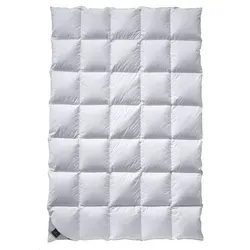 Billerbeck Nena Daunendecke Mono 135x200cm von billerbeck