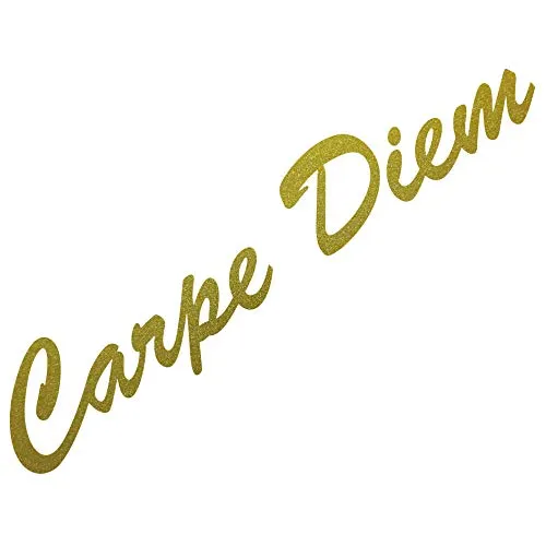 GreenIT 20cm Carpe Diem Schriftzug Aufkleber Tattoo Deko Folie Wandtattoo für Auto Wand Tür Fenster (Gold metallic)