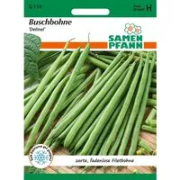 SAMEN PFANN Buschbohne Delinel