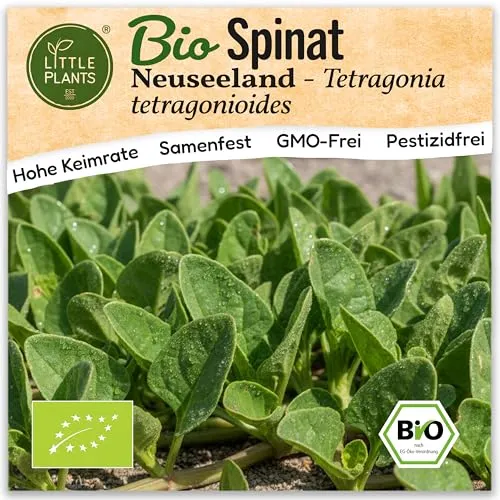 Saatgut von Little Plants