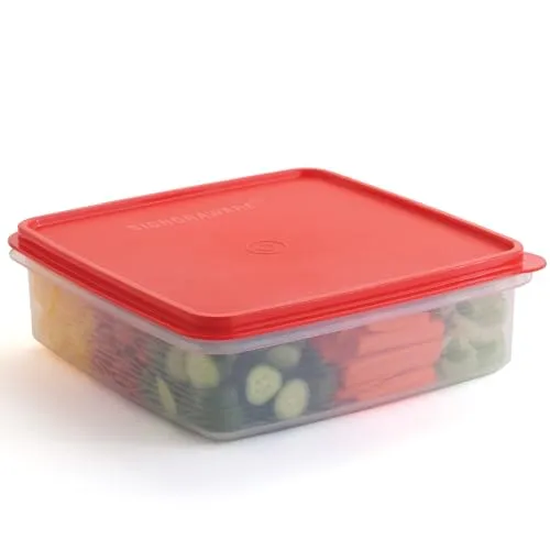 Vorratsbehälter aus Kunststoff mit Deckel