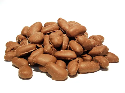 500g Datteln entsteint in Milchschokolade   18,00€/1Kg