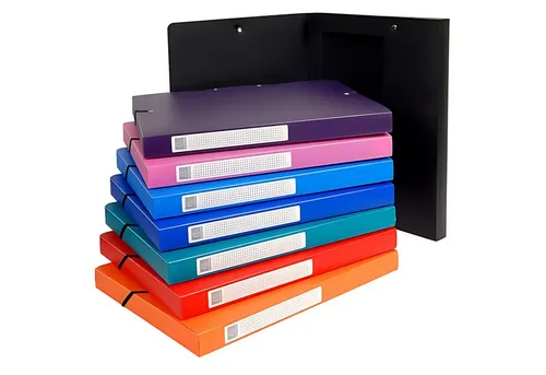 EXACOMPTA Aufbewahrungsbox Exacompta ArchivboxOpak PP 25mm sortiert