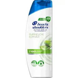 Head & Shoulders Anti Schuppen Shampoo für empfindliche Kopfhaut mit Aloe Vera 500ml