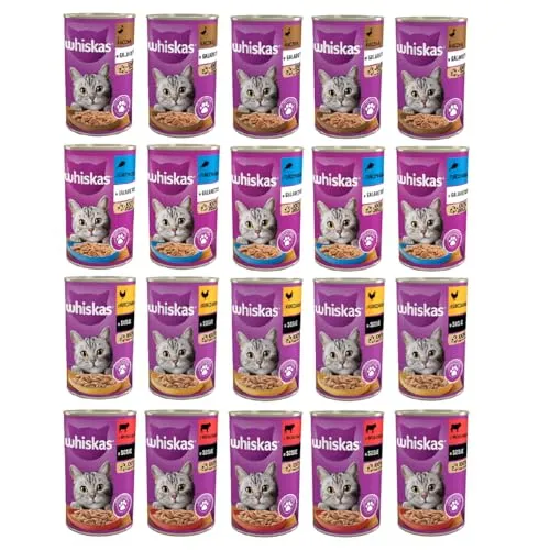 Whiskas Katzenfutter in Gelee 80x85g Fisch Auswahl - 6,8 kg schmackhaftes Nassfutter mit Lachs, Thunfisch und mehr. Ideal für anspruchsvolle Katzen, die eine köstliche Vielfalt lieben.