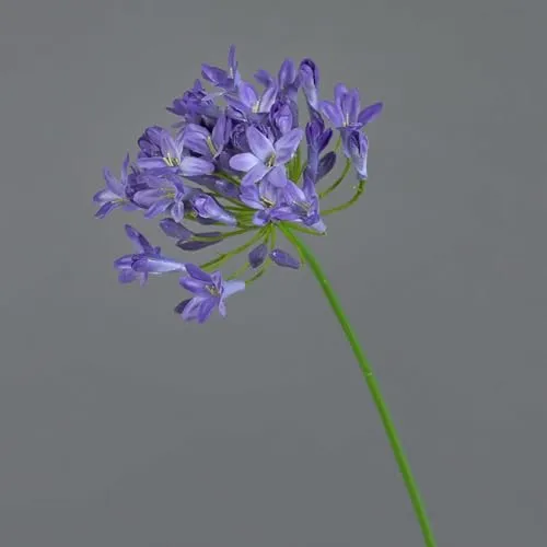 artplants.de Künstlicher Agapanthus PHILINA, blau, 75cm, Ø 14cm - Deko Blume