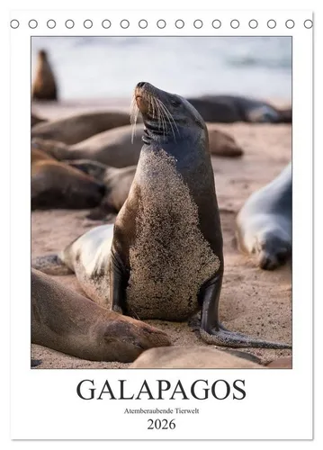 Jeanette Dobrindt | Galapagos - Atemberaubende Tierwelt 2026 - Kalender mit 14 beeindruckenden Bildern der einzigartigen Tierwelt der Galapagos-Inseln, ideal für Natur- und Reisebegeisterte.
