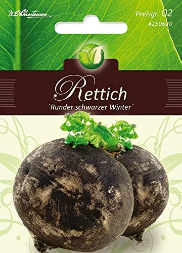 Rettich, Runder schwarzer Winter