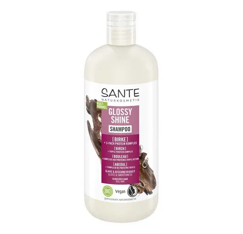 Sante Family Glanz SH Bio-Birkenblatt 500ml - Shampoo für normales und glanzloses Haar, spendet Geschmeidigkeit und Glanz mit Bio-Birkenblatt. Nachhaltige 500ml Flasche aus 100% Recyclat.