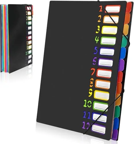 Gemtte Fächermappe A4, Mappen Ordnersystem mit 12 Fächern, 24 Taschen Dokumentenmappe Folder, Bunte Wasserdicht Ordnungsmappe für Schule Bürobedarf (Schwarz)