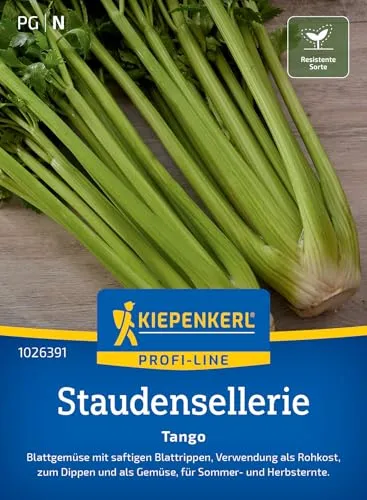 Staudensellerie Tango in grün von Kiepenkerl